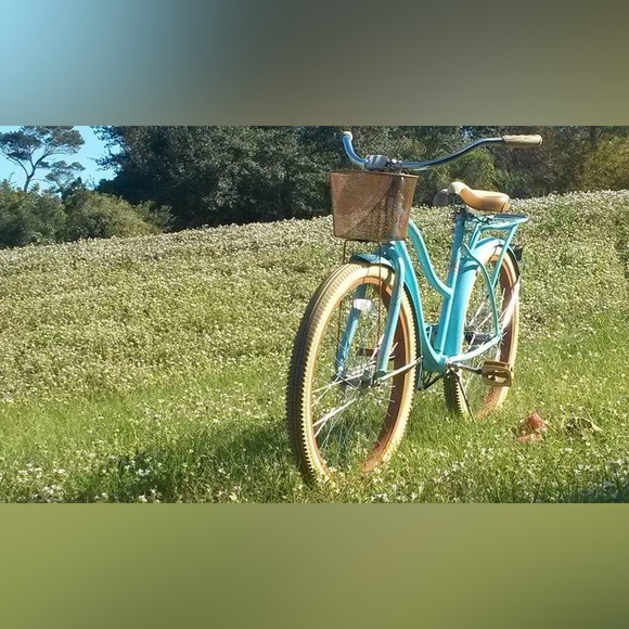 Meet your Posher, Mindy - Picture 4 of 4